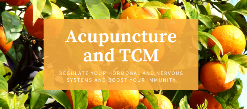 Acupuncture Edmonton | Optimum Wellness Integrated Clinic