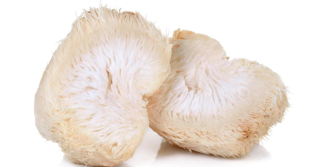 Medicinal mushrooms therapy