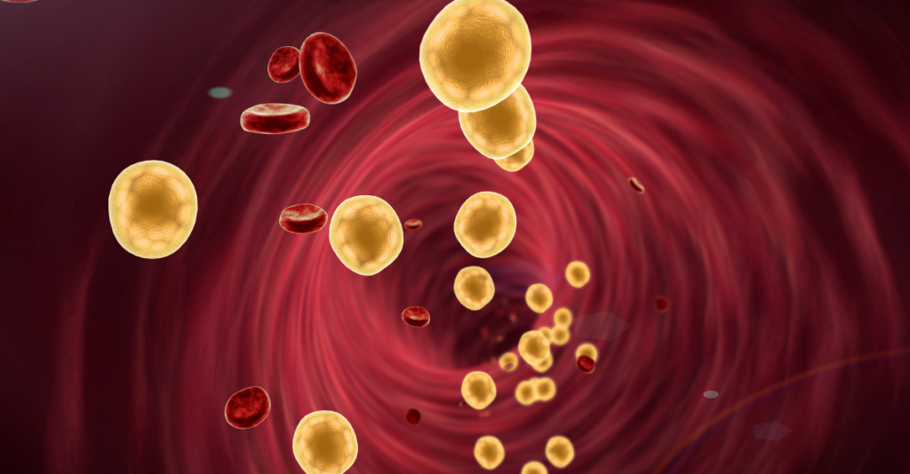 Cholesterol functional care