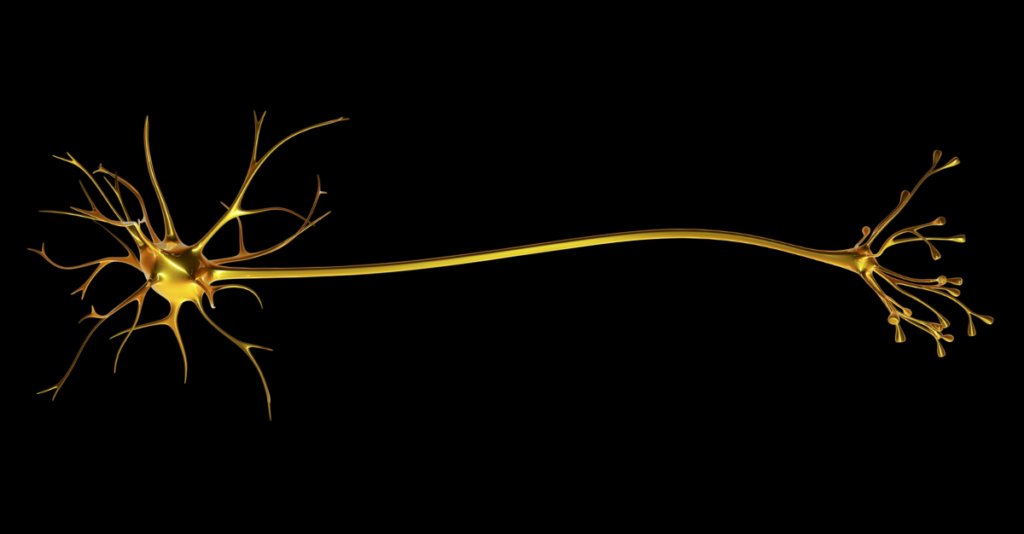 Vagus nerve therapy care