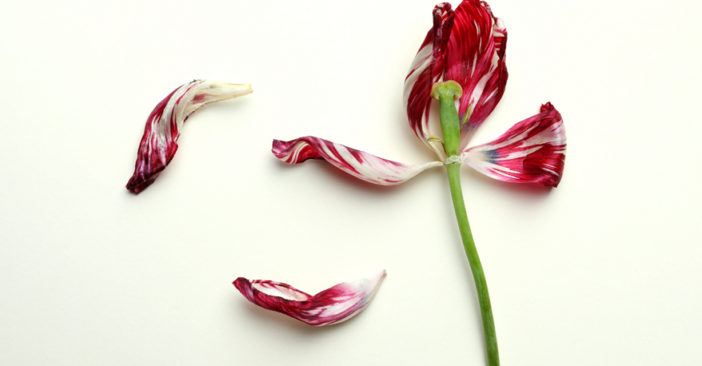 Hormone changes support