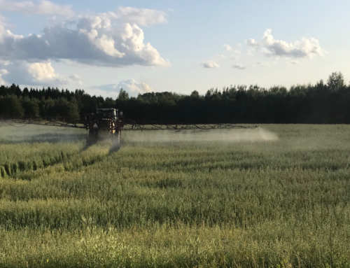 Is Glyphosate in Your Food? Exploring the Health Implications