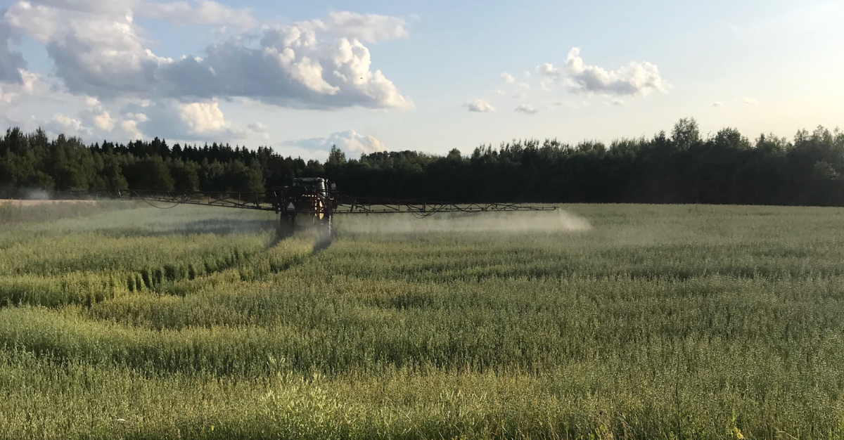 Is Glyphosate in Your Food? Exploring the Health Implications