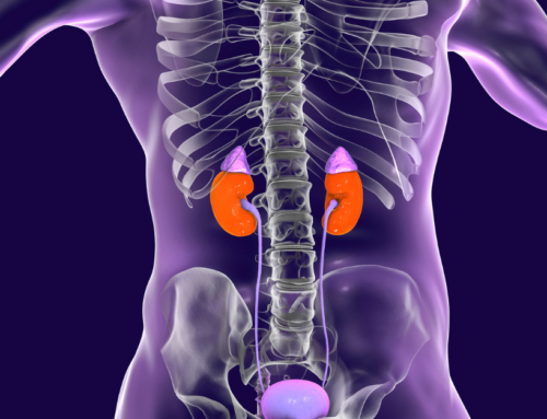 Adrenal Health 101: Signs of Dysregulation