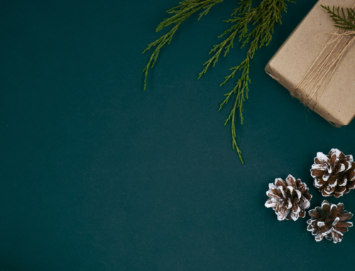 12 Days of Giving: Healthy Holiday Guide